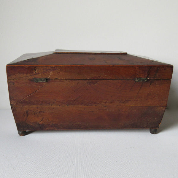 Tea Caddy Sarcophagus Shaped  Burr Wood  19th Century